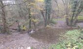 Tocht Te voet Hoei - 01-12-19 13:42:57 - Photo 2