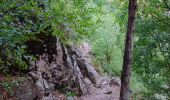 Tour Wandern Thuès-Entre-Valls - Gorges de Carança - Annie le 29 juin 2022 - Photo 3