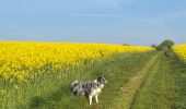 Trail Walking Aix-en-Issart - Sentier du paradis - Photo 19