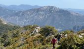 Trail Walking Castellane - Chasteuil (04) ; Cadières de Brandis - Photo 17