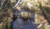 Tour Wandern Weismes - botrange . pont beleu . croix des fiancés . baraque michel /  retour fagne wallone hors caillebotis  - Photo 17