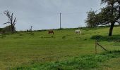 Excursión Senderismo Châtelet - Marche éphémères Ecureuil - Photo 14