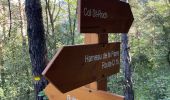 Trail Walking Lucéram - Col St Roch boucle - Photo 2