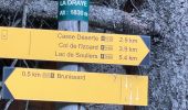 Trail Walking Arvieux - J5 Queyras 2022 - Photo 1