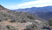 Trail Walking Collioure - MADELOC depuis col de la serra, via col formigo,  batterie 500, madeloc, col tellaferra  - Photo 11