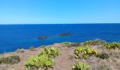 Randonnée Marche Cerbère - village des aloès - cap cerbère/ aller-retour - Photo 12