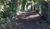 Trail Walking Sarzeau - PR_56_Sarzeau_GA_07_Regards-Sur-Le-Golfe_Circuit1b_20240310 - Photo 6