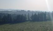 Tocht Stappen Monteriggioni - Monteriggioni  /  Sienne - Photo 8