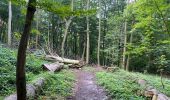 Trail Walking Flobecq - La Houppe 18 Km - Photo 13