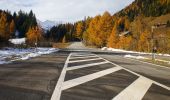 Tocht Te voet Airolo - Strada degli Alpi - Photo 7