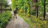 Percorso Marcia Anthisnes - 2019-05-16 Liege RB 18 Tavier 22 km - Photo 8