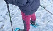 Trail Snowshoes Tubize - Sunday Afternoon Walk - Photo 3