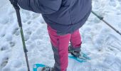 Randonnée Raquettes à neige Tubize - Sortie raquettes dans la réserve Natagora du Coeurcq - Photo 3