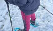 Tour Schneeschuhwandern Tubize - Sunday Afternoon Walk - Photo 3
