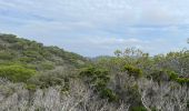 Tocht Stappen Hyères - Porquerolles - Photo 13