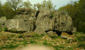 Tour Wandern Toulx-Sainte-Croix - les pierres jaumatres (Toulx st croix) - Photo 6