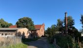 Tour Zu Fuß Ziesar - Naturparkrundwanderweg 50 - Photo 1