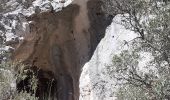 Randonnée Marche Ollioules - Grottes St Martin 1et 2 + Christianisée - Photo 4