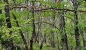 Tour Wandern Roche-Saint-Secret-Béconne - Roche St Secret Le Mont Rachat 13Km - Photo 2