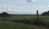 Tour Wandern Sentheim - Par la forêt et le fil de l'eau - Photo 13