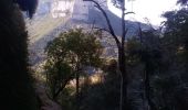 Randonnée Marche Choranche - Presles grotte de Gournier et de balme rousse - Photo 7