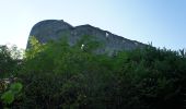 Tour Zu Fuß Gemeinde Zöbern - Zöbern - Zöberner Au - Heißenberg - Winkelbauer - Photo 10