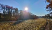 Randonnée Marche Saint-Paul-en-Chablais - La Chapelle d'Abondance - Photo 10