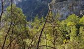 Tour Wandern La Palud-sur-Verdon - le sentier Blanc Martel (Gorges du Verdon ) - Photo 16