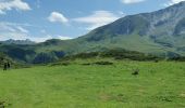 Tocht Stappen Arrens-Marsous - col de soulor, lac de soum, col de bazes, col de soulor  - Photo 4