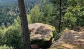 Trail Horseback riding Saint-Quirin - Camping st quirin belles roches abri Klein haut du bon Dieu halmoze lamperstein  - Photo 17