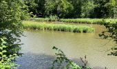 Tocht Stappen Chiny - Vallée de l’Eau - Photo 18