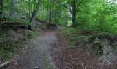 Trail On foot Simmerath - Dorfrundgang Erkensruhr - Photo 8