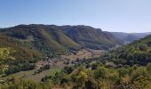 Randonnée Marche Valbeleix - AUVERGNE  MARCENAT (63) - Photo 9