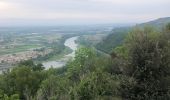 Excursión Senderismo Glun - Glun Ardèche  - Photo 5