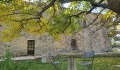 Tour Wandern Artignosc-sur-Verdon - 11-10-2022 Artignosc - Baudinard - Photo 4