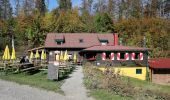 Excursión A pie Gemeinde Lilienfeld - Mathias Zdarsky-Rundwanderweg (Lilienfeld) - Photo 9