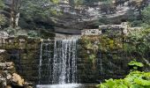 Excursión Senderismo La Chaux-du-Dombief - La cascade du Saut-Girard à La Chaux-du-Dombief - Photo 1