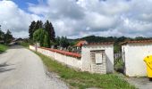 Excursión A pie Hořice na Šumavě - [Ž] Muckov - Hořice na Šumavě - Photo 8