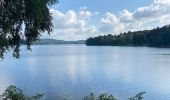 Tocht Elektrische fiets Montsauche-les-Settons - Lac du settons dans le Morvan - Photo 1