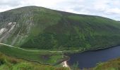 Tocht Te voet The Municipal District of Wicklow - Spinc and Glenealo Valley - Photo 2