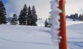 Trail Cross-country skiing Gex - Sonnaillyais - Photo 9