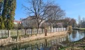 Trail Walking Molsheim - Le long de la Bruche et de son canal - Photo 5