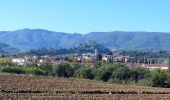 Trail On foot Gaiole in Chianti - IT-33 - Photo 8