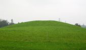 Trail On foot Wetzikon (ZH) - Wetzikon - Sulzbach - Photo 10
