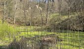 Percorso  Oberhaslach - Camping de luttenbach châteaux  - Photo 9