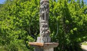 Trail Walking La Chapelle-en-Vercors - tour de loscense - Photo 4