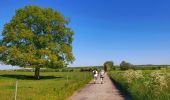 Trail Walking Florennes - Balade de Rosée à Flavion par le village de Corenne - Photo 8