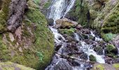 Trail Walking Wattwiller - HIRTZ - Photo 1