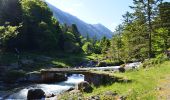 Tour Wandern Cauterets - La Raillère au refuge de la Fruitière par le Vallon de Lutour - Photo 4