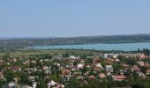 Percorso A piedi Balatonalmádi - K▲ (Balatonalmádi - Óvári messzelátó - Öreg-park) - Photo 2